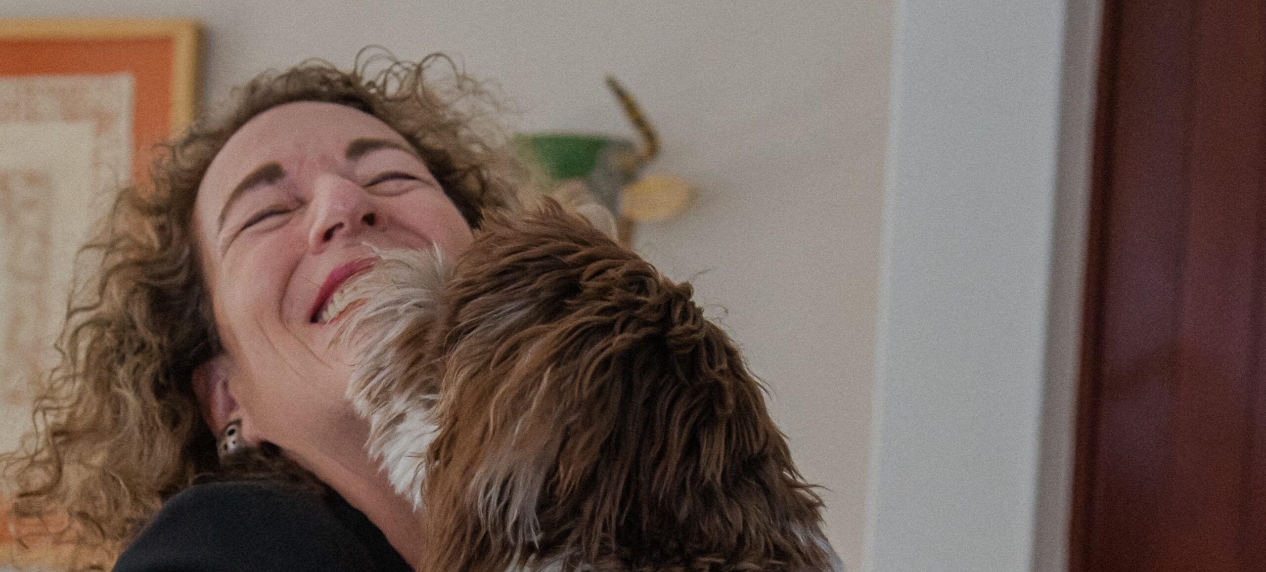 dogs ibs recipe